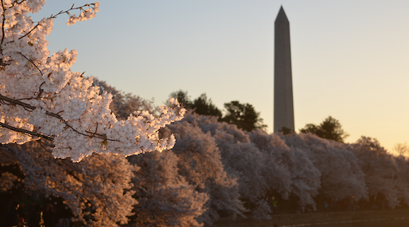 A Conversation with Bill Congdon, Former Member of the White House Social and Behavioral Sciences Team